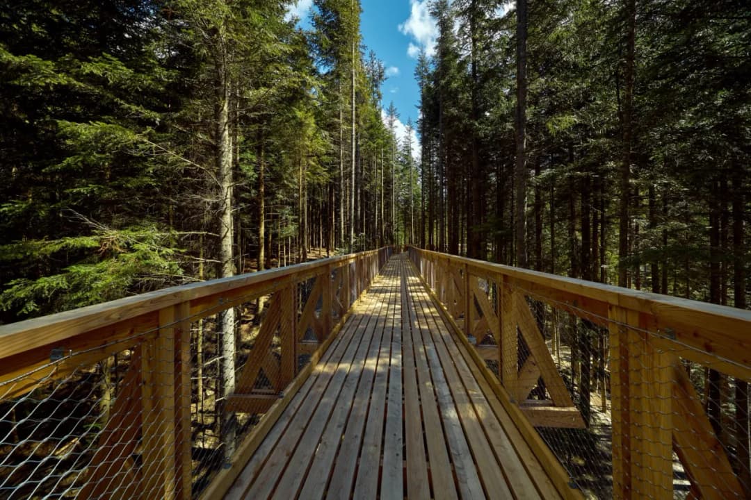 Brama w Gorce – gdzie to jest i jak dojechać do tego miejsca?